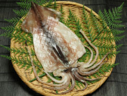 �ʐ^���N���b�N����Ə��i�̊g��ʐ^���\������܂�