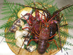 ����N���X�@���h�g���荇�킹�@�ɐ��C�V